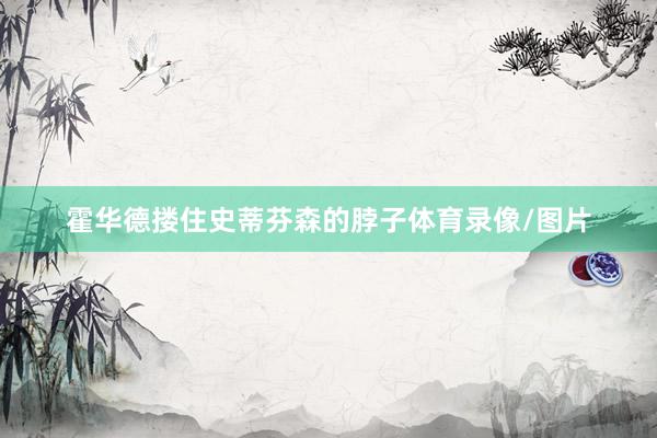 霍华德搂住史蒂芬森的脖子体育录像/图片