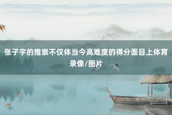 张子宇的推崇不仅体当今高难度的得分面目上体育录像/图片
