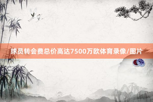 球员转会费总价高达7500万欧体育录像/图片