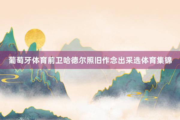 葡萄牙体育前卫哈德尔照旧作念出采选体育集锦