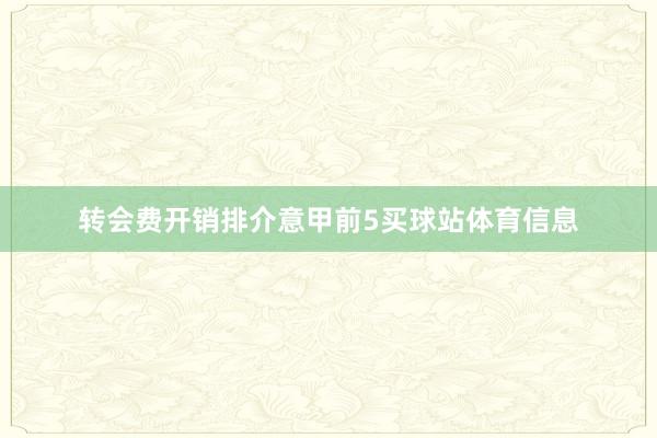 转会费开销排介意甲前5买球站体育信息