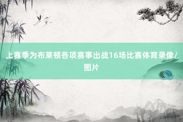 上赛季为布莱顿各项赛事出战16场比赛体育录像/图片