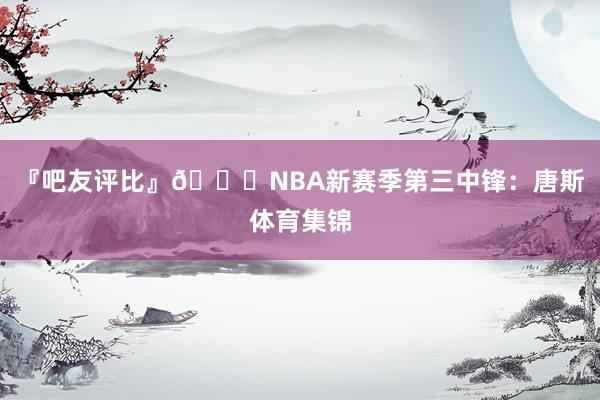 『吧友评比』🌟NBA新赛季第三中锋：唐斯体育集锦