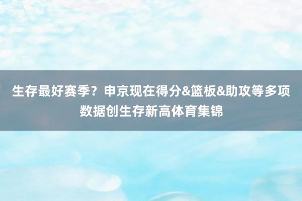 生存最好赛季？申京现在得分&篮板&助攻等多项数据创生存新高体育集锦