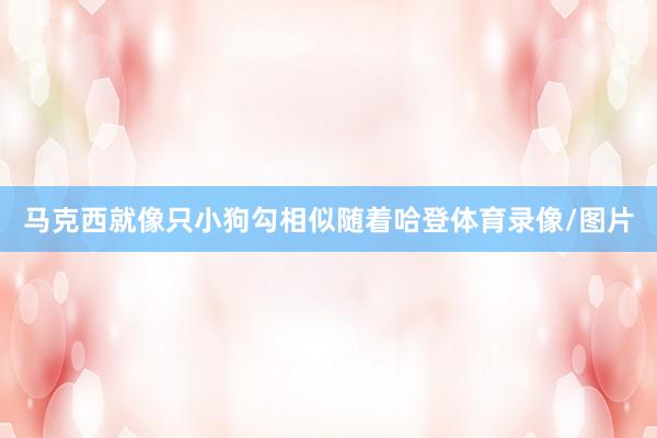 马克西就像只小狗勾相似随着哈登体育录像/图片