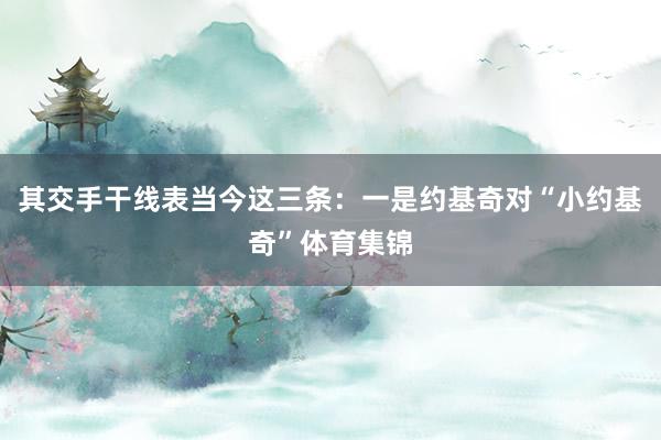 其交手干线表当今这三条：一是约基奇对“小约基奇”体育集锦