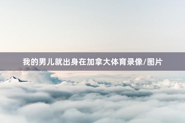 我的男儿就出身在加拿大体育录像/图片