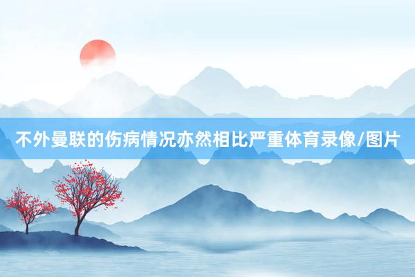 不外曼联的伤病情况亦然相比严重体育录像/图片