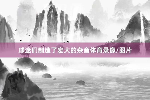 球迷们制造了宏大的杂音体育录像/图片