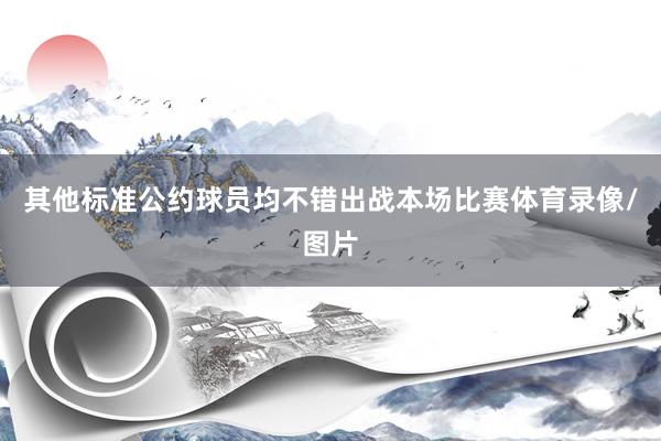 其他标准公约球员均不错出战本场比赛体育录像/图片