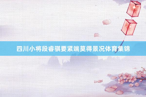 四川小将段睿骐要紧端莫得景况体育集锦