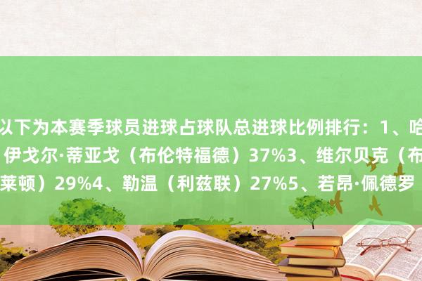 以下为本赛季球员进球占球队总进球比例排行：1、哈兰德（曼城） 41%2、伊戈尔·蒂亚戈（布伦特福德）37%3、维尔贝克（布莱顿）29%4、勒温（利兹联）27%5、若昂·佩德罗（切尔西）26%    体育集锦
