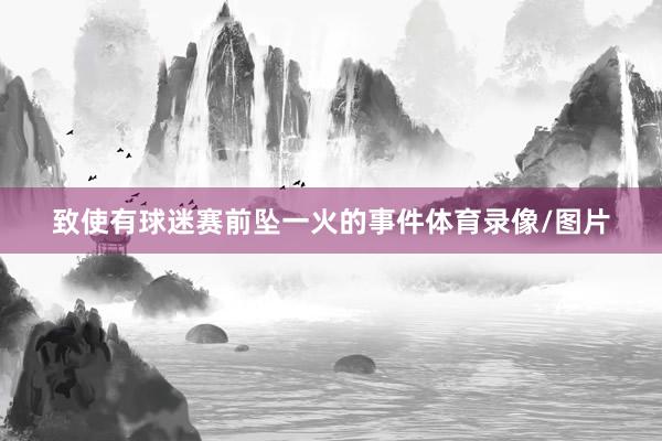 致使有球迷赛前坠一火的事件体育录像/图片