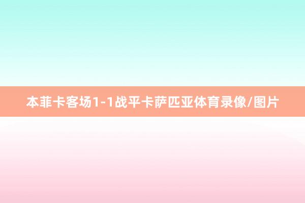 本菲卡客场1-1战平卡萨匹亚体育录像/图片