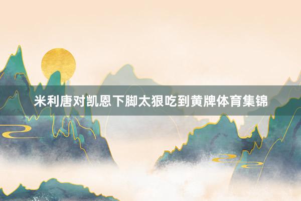 米利唐对凯恩下脚太狠吃到黄牌体育集锦