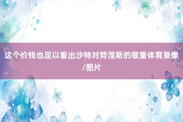 这个价钱也足以看出沙特对努涅斯的敬重体育录像/图片