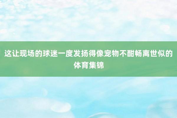 这让现场的球迷一度发扬得像宠物不酣畅离世似的体育集锦